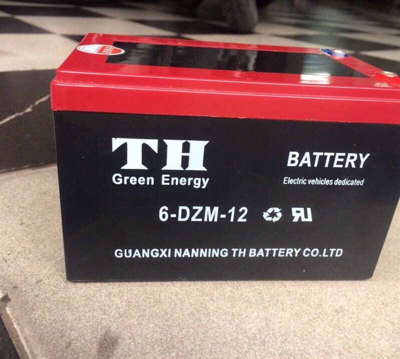 Ắc quy xe điện th 12A-48V