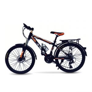Xe đạp Azi 350