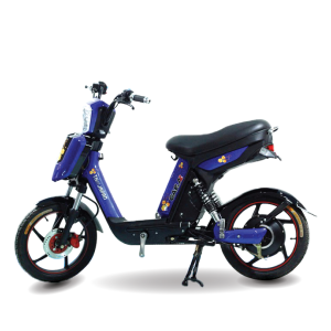 Cap A2 300x300 - Xe đạp điện 133 Promax 2022