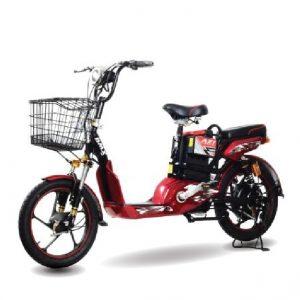 Mua xe đạp điện chính hãng ở đâu tốt & giá rẻ tại TpHCM