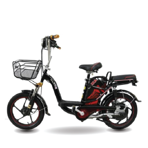 Xe đạp điện Bmx phuộc đôi 5