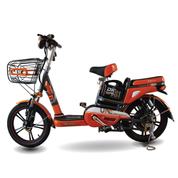 Xe đạp điện DK Bike 18A 10