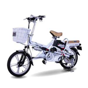 Xe dap dien Dkbike 18V 300x300 - Xe đạp điện 133 Pro Ma trận