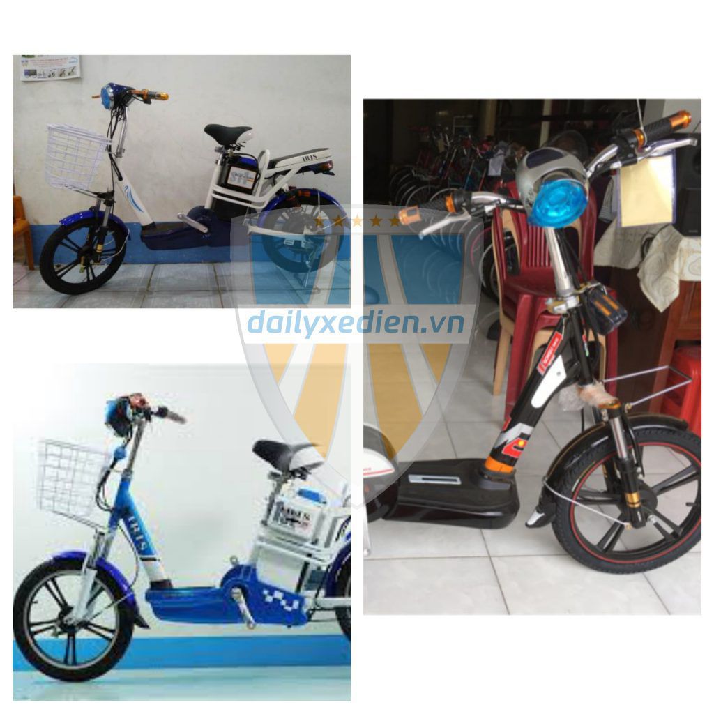 Xe đạp điện Bluera Bike - tổng hợp những phiên bản siêu hot, giá siêu rẻ