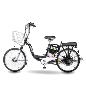 Xe đạp điện Hitasa Bomeli 22inch 2