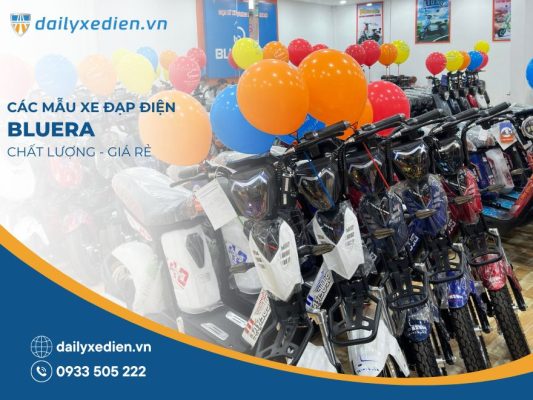 Xe đạp điện Bluera