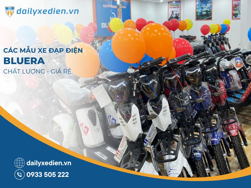 Xe đạp điện Bluera