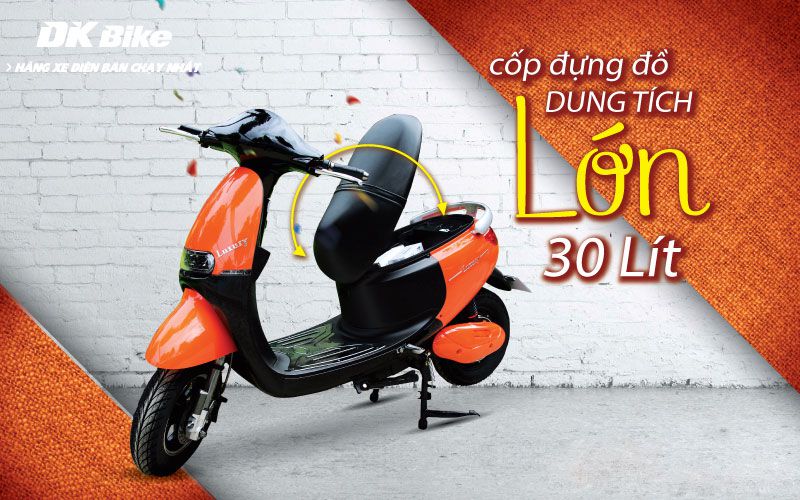 6 Luxury 20171 - Xe máy điện DK Bike Luxury