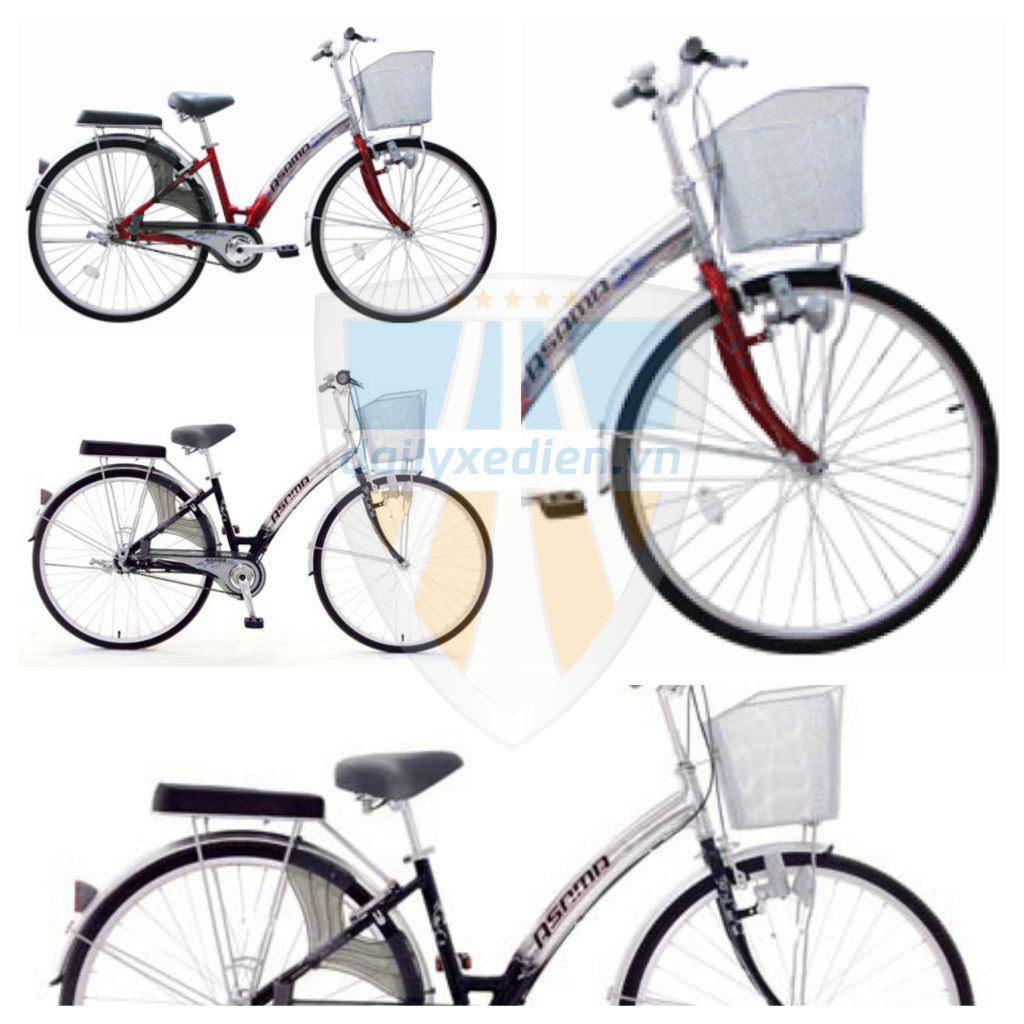Top các dòng xe đạp Asama chính hãng - giá ưu đãi