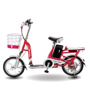 Xe đạp điện Aima ED310D 2020 9
