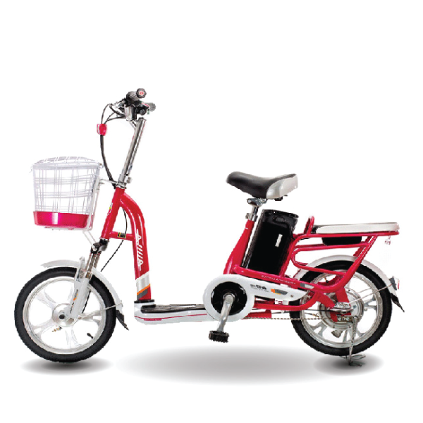 Xe đạp điện Aima ED310D 2020 5