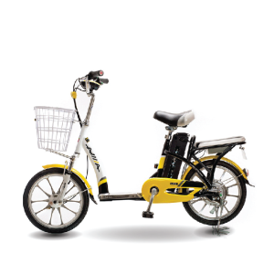 Xe đạp điện Aima ED210E 2020 28