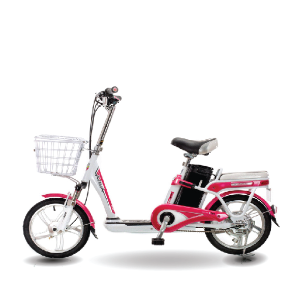 Xe đạp điện Aima ED315 2020 1