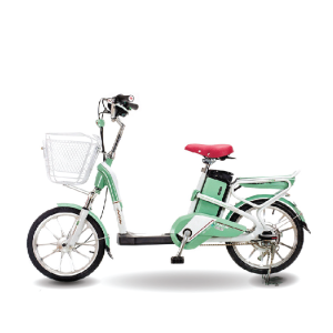 Xe đạp điện Aima ED318 2020 22
