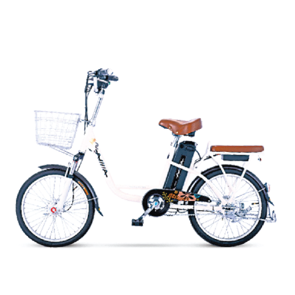 Xe đạp điện Aima EL112 2020