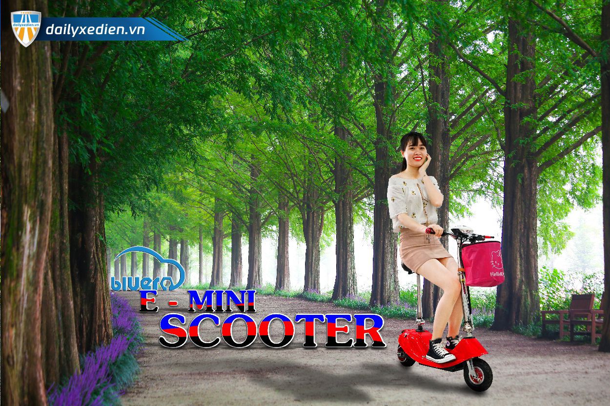 E Mini Scooter chitiet 01 05 - Xe E - Mini Scooter