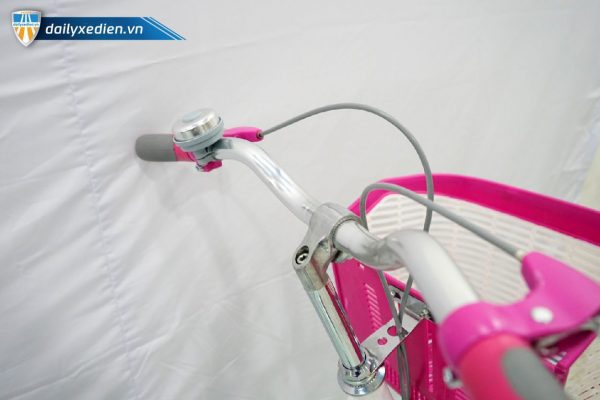 Xe dap SMEI ct6 08 600x400 - Xe đạp mini SMEI