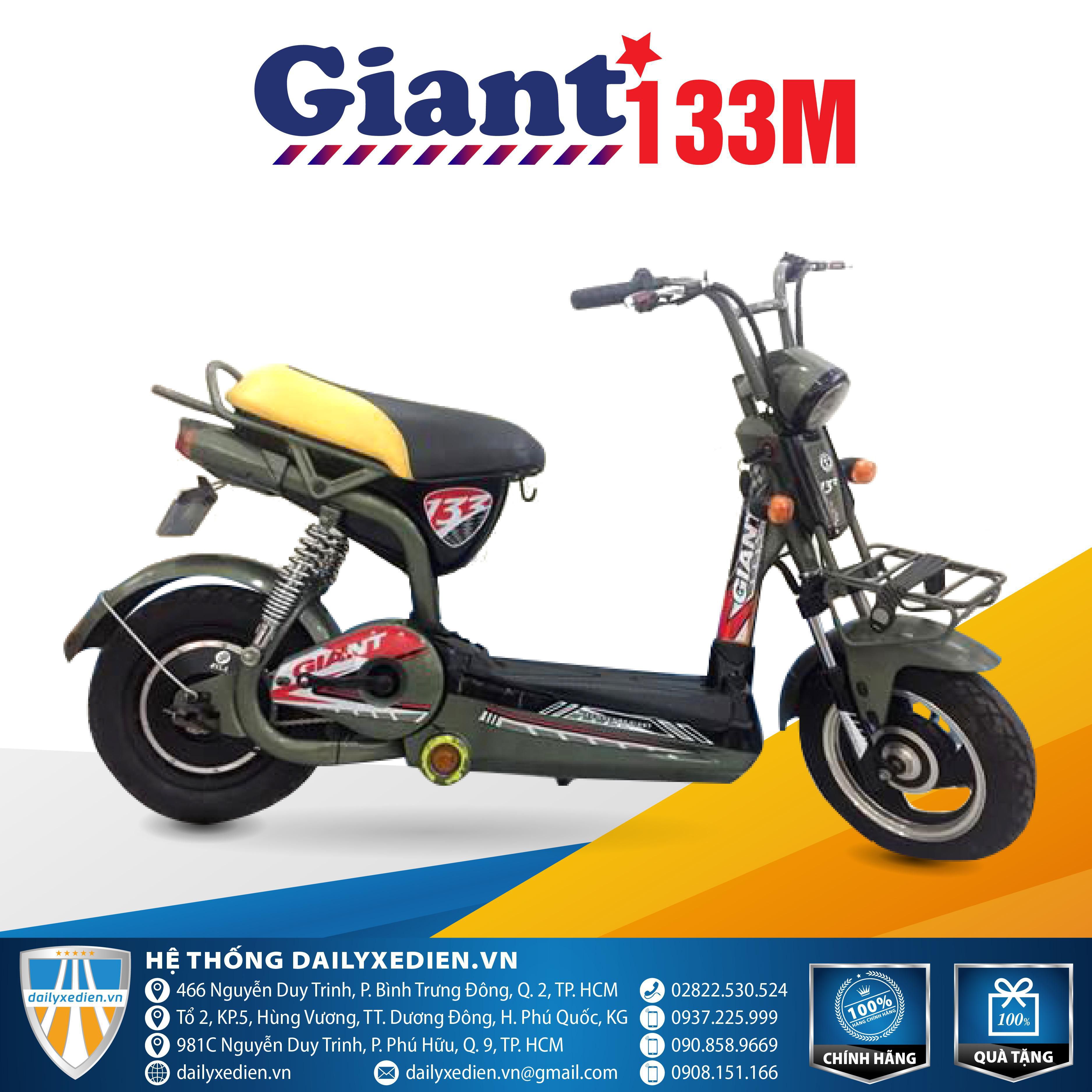  Đại lý xe đạp điện Giant M133 chính hãng giá rẻ tại TP. HCM