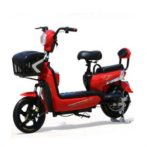 inlove 01 01 300x300 - Xe đạp điện 133 Mini Aimia