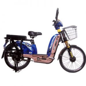 Shop bán xe đạp điện sỉ lẻ tại Tp.HCM
