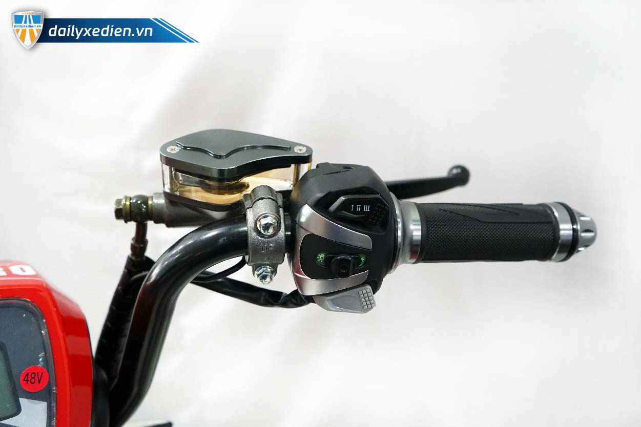 xe dap dien cap x pro update 12 - Xe đạp điện Bluera Cap X Pro