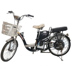 Xe đạp điện cũ Asama BMX B48 21