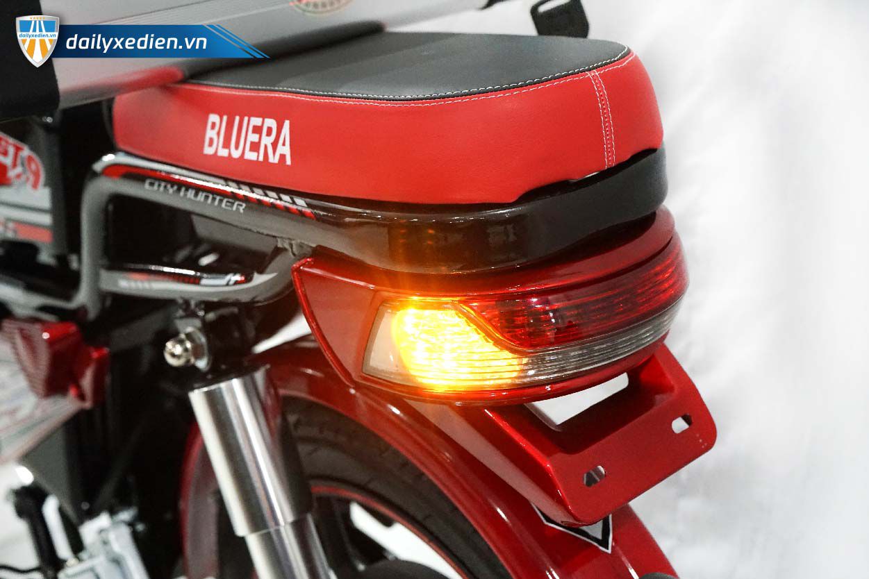 xe dap dien bluera fast 9 ct 12 - Xe đạp điện Bluera Fast 9