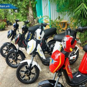 XE DAP DEIN BAT S CT12 300x300 - Mẫu xe đạp điện gấp giá rẻ công nghệ hiện đại nhất hiện nay tại Việt Nam