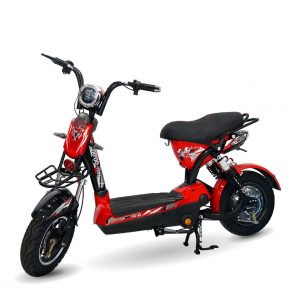 xe dap dien 133 S Max 01 300x300 - Xe đạp điện 133 Promax 2022