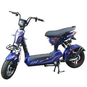133 promax 300x300 - Mẫu xe đạp điện gấp giá rẻ công nghệ hiện đại nhất hiện nay tại Việt Nam