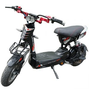 xedapdien133taylaido 300x300 - Xe đạp điện MIKU MAX-DK BIKE (cũ)