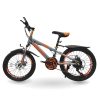 Xe đạp thể thao trẻ em Toyou – 20inch