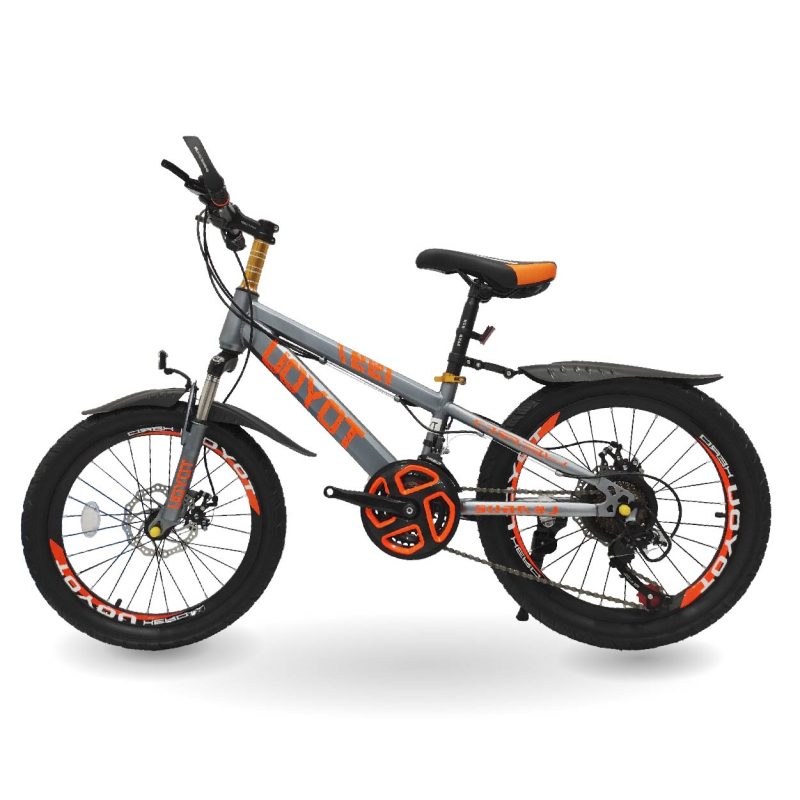 Toyou Children's Sports Bike – 20inch