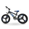 Xe đạp thể thao trẻ em Vicky – 20inch đúc