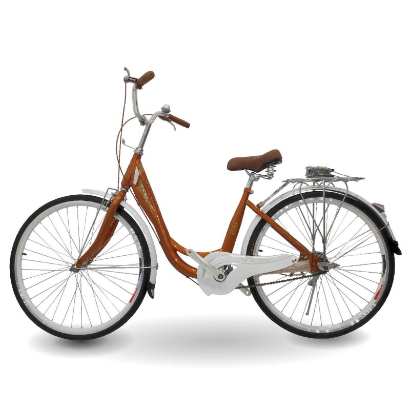 Vicky VM26 Women's Bicycle