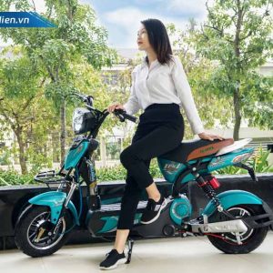 Mua bán xe đạp điện - xe máy điện cũ mới giá rẻ 2021 tại Đồng Nai