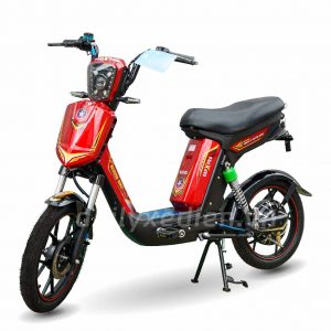 Xe đạp điện Cap X Pro – New 2022 9