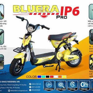 Xe đạp điện Bluera Cap X Pin Lithium – ion
