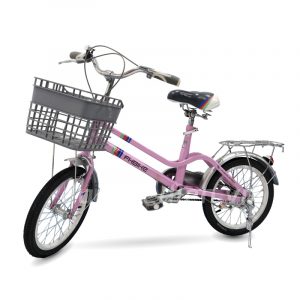 Xe đạp trẻ em nữ FH-Bike - 16 inch 126