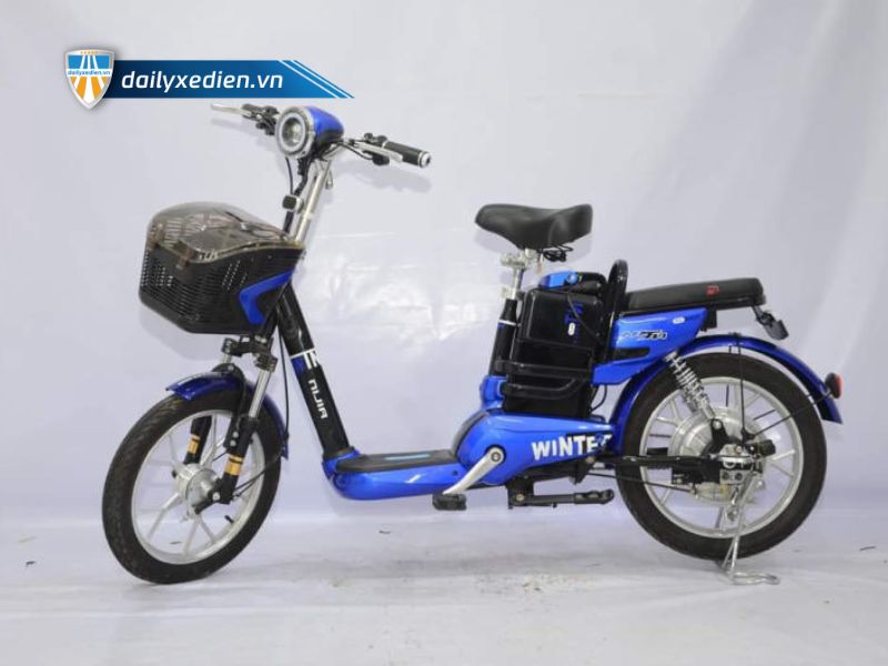 Xe đạp điện Nijia Winter