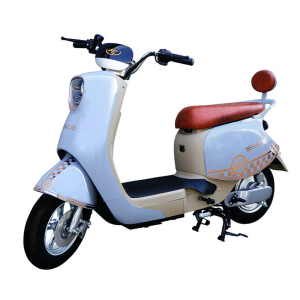 Xe đạp điện Ai Ebike Smile phiên bản đặc biệt