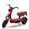 Xe đạp điện Bluera IPX