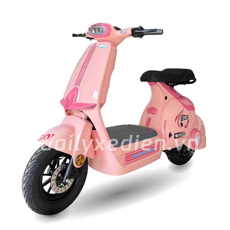 Xe đạp điện Bluera BL8s