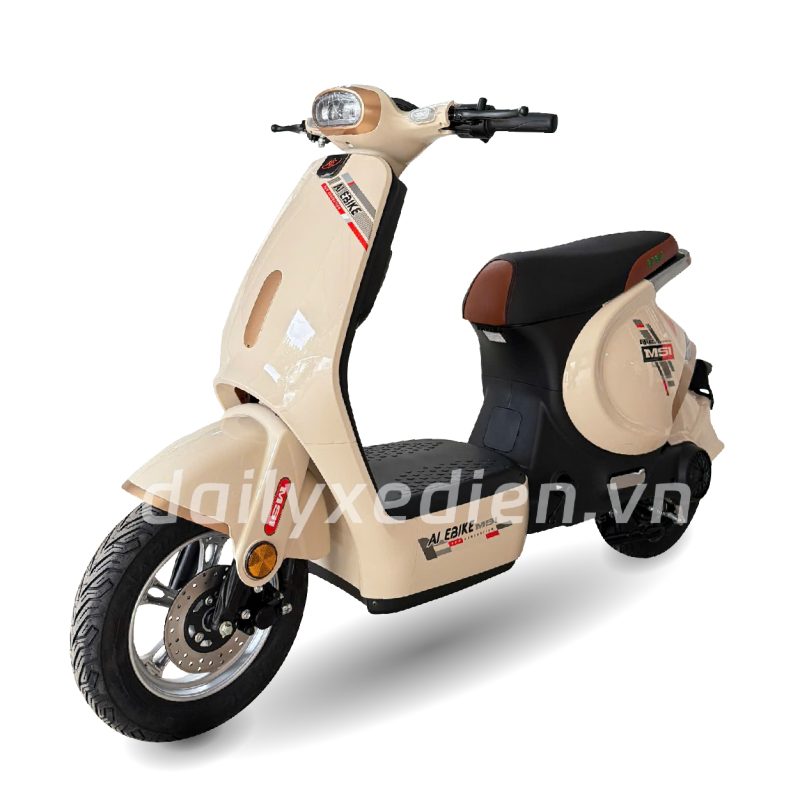 Xe đạp điện AIE MS1