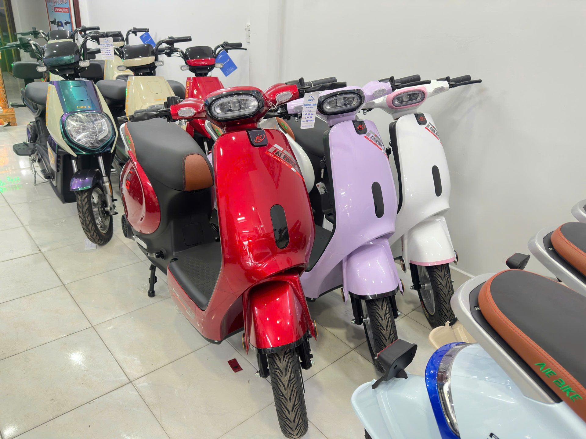 Xe đạp điện Bluera Super Star