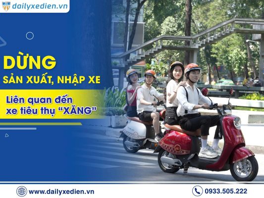 Việt Nam Đề Xuất Dừng Nhập, Sản Xuất Xe Xăng Trong Lộ Trình Xanh Hóa Giao Thông