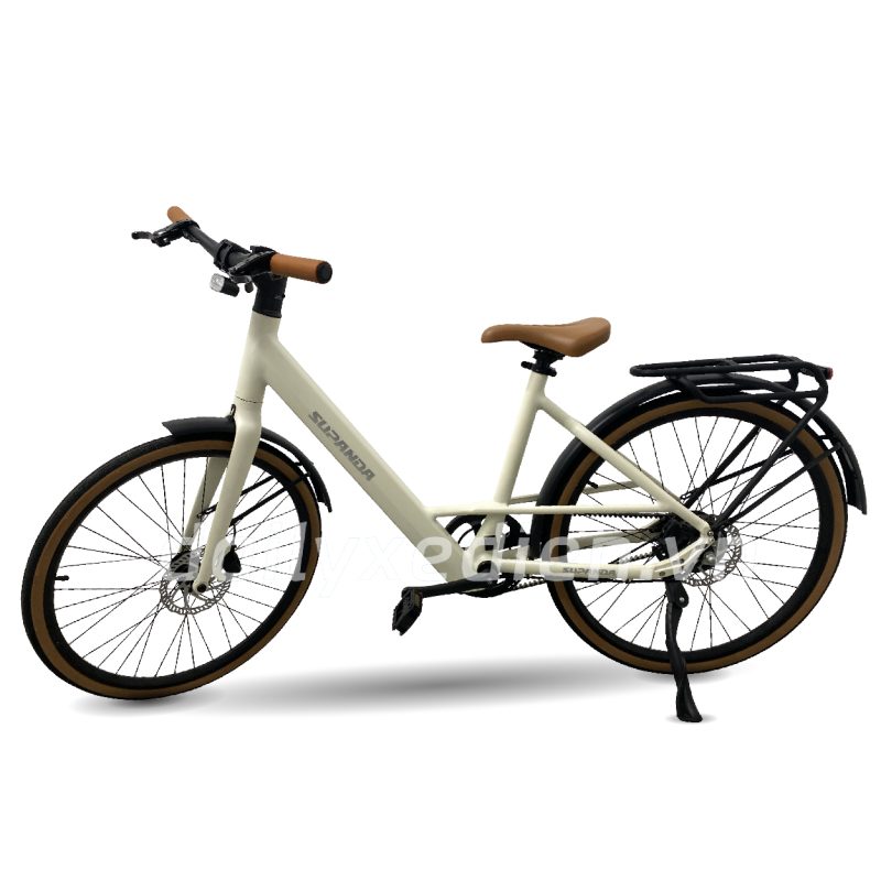Xe đạp trợ lực EC71