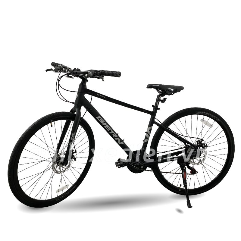 Xe đạp trợ lực RG201