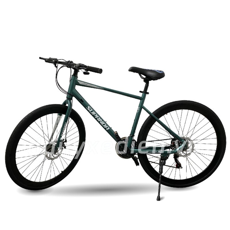 Xe đạp trợ lực RS200