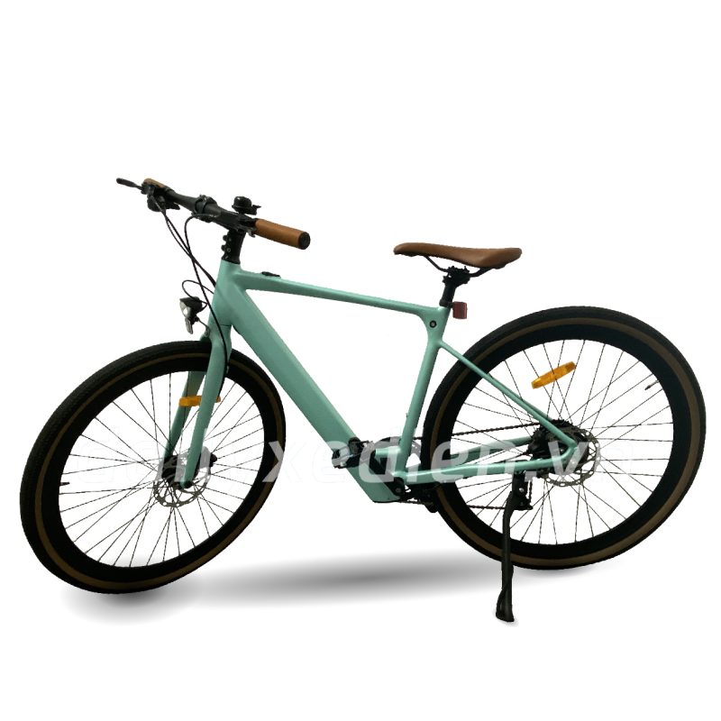 Xe đạp trợ lực ER20